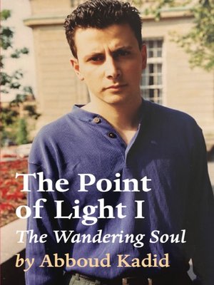 cover image of The Point of Light I